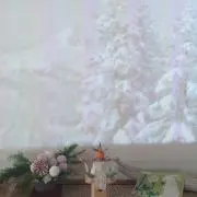 チョコの画像