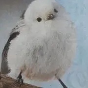テレサ