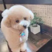 えりかの画像