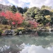 おかけんの画像