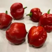 ハバネロ