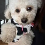 まーちゃんの画像