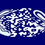 4l3の画像
