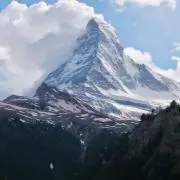 ポポの画像