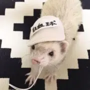 鈴の画像