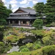 わんこの画像