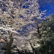 赤坂の画像