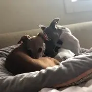 さっちゃん