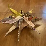 ゆぴゆぴ☆の画像