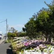 Sheila最終セール