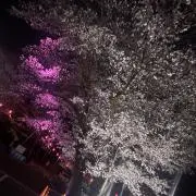 エー