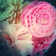 もも
