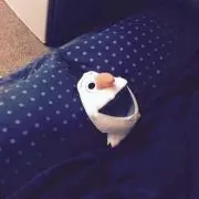 mariの画像
