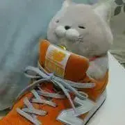 ごめま