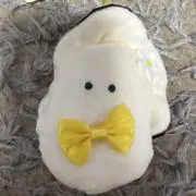 松の画像