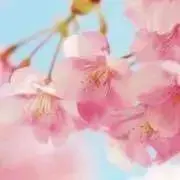 kirakira☆プロフご一読ください☆の画像