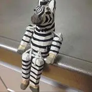 cocoroの画像