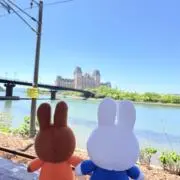 ミントいぬ（プロフ必読）の画像