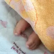 ぽりん