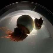 mi___s.の画像