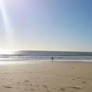 kz☆