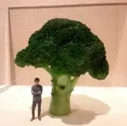 マッシュroomの画像