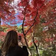 りんかぁたんの画像