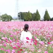 ぽんの画像