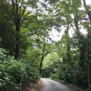お松