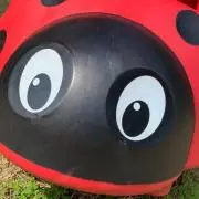 てんとう虫