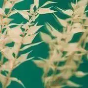OMOの画像