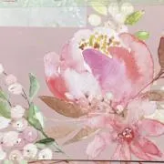 hikoooの画像