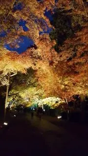おまの画像