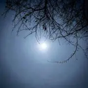Moonshine
