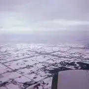 オメガリの画像