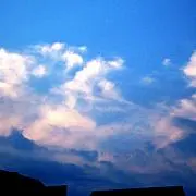 奏＊。プロフ必読