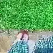 さかどん／発送日についてはプロフ参照の画像