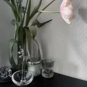 F.の画像