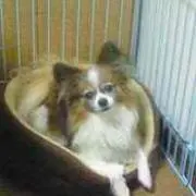 ෆ⃛涙ෆ⃛