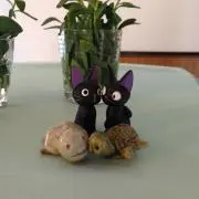 ナツメグ