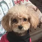 キャンバス