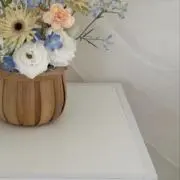 n o nの画像