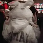チャンの画像