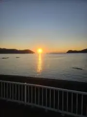 ノリピーの画像
