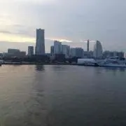 yfyokohamaの画像
