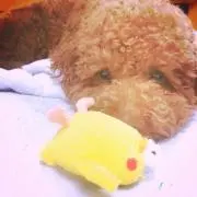 miの画像