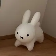 Ichico【24H以内発送⭐︎】の画像