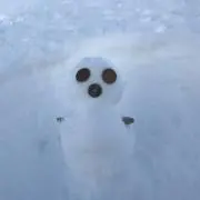 にーおの画像