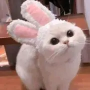 るの画像