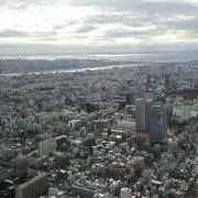 ひとでの画像